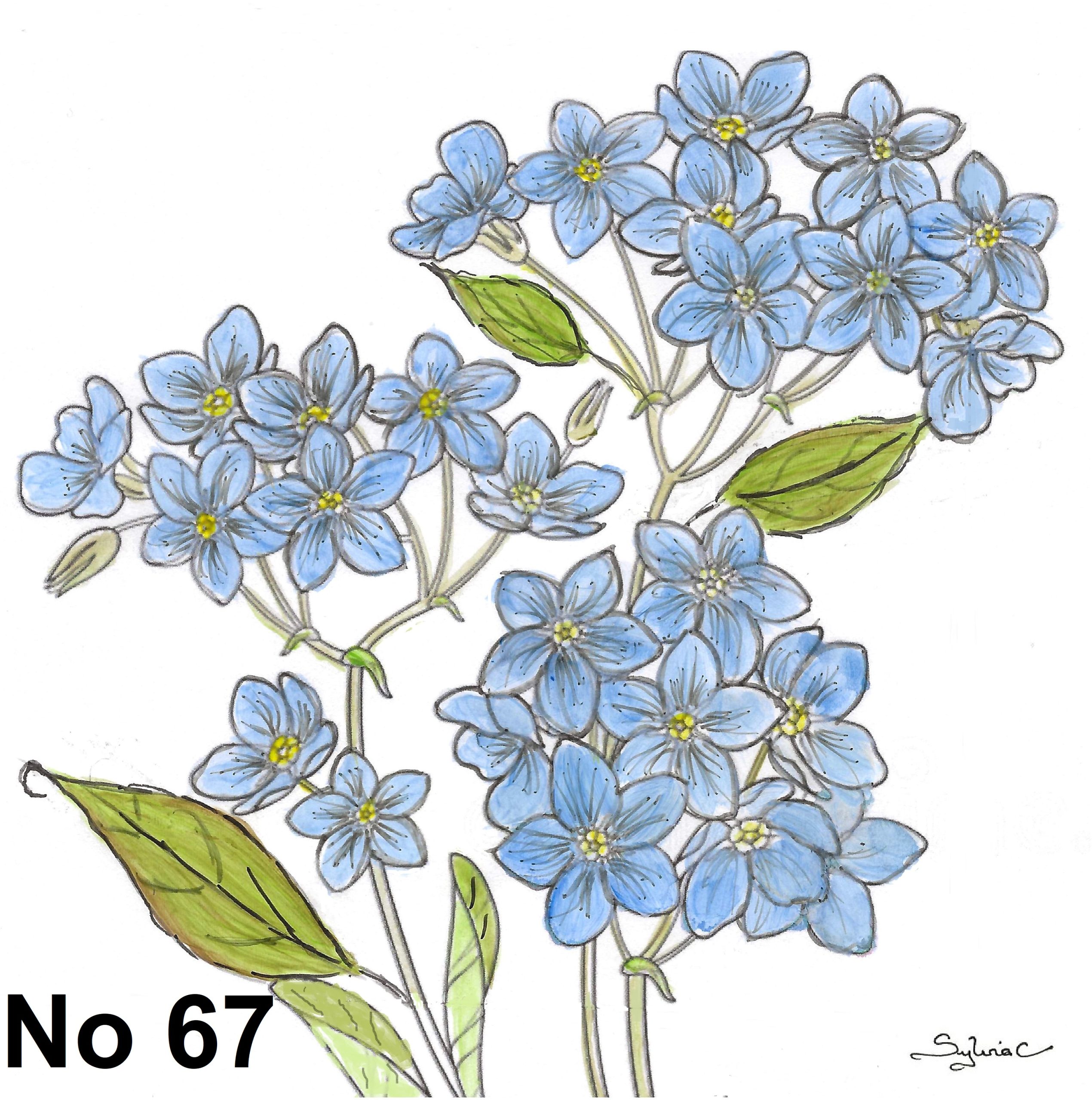 Pack of 5 cards. Free UK postage. - Image 68